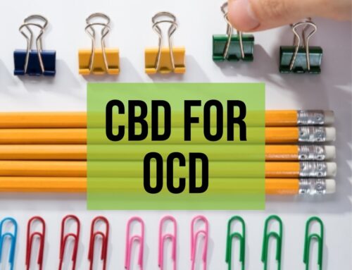 CBD for OCD