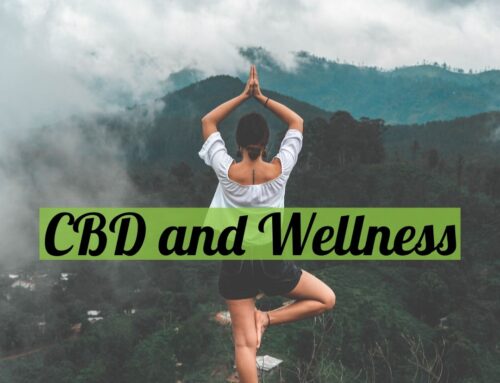 CBD and Wellness