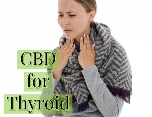CBD for Thyroid