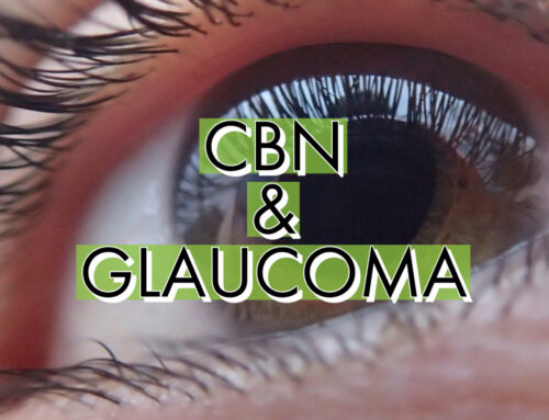 CBN and Glaucoma