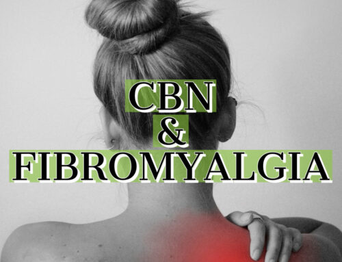 CBN and Fibromyalgia