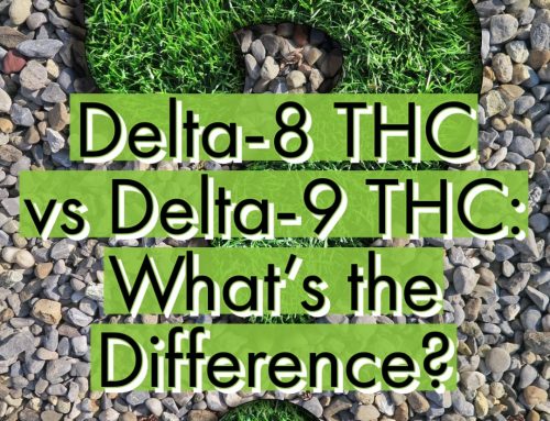 Delta-8 THC vs. Delta-9 THC, What’s the Difference?